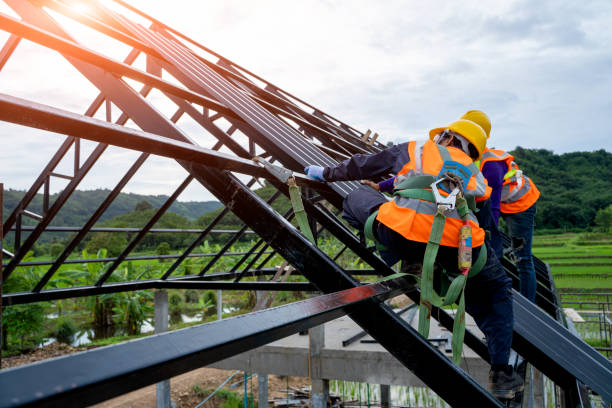 Best Gutter Installation and Roofing  in Winfield, TN