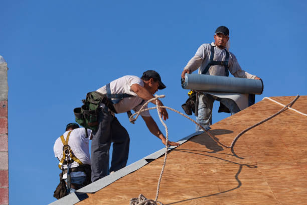 Best Flat Roof Repair Services  in Winfield, TN