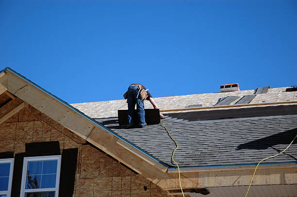 Best Shingle Roofing Installation  in Winfield, TN