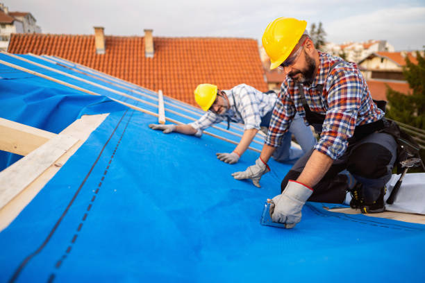 Best Metal Roofing Contractor  in Winfield, TN