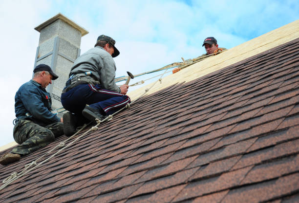 Best Roof Gutter Cleaning  in Winfield, TN