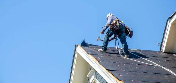 Roof Gutter Cleaning in Winfield, TN